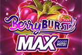 BerryBurst MAX Touch