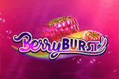 BerryBurst Touch