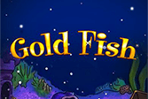 gold fish
