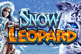 snow leopard