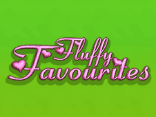 Fluffy Favourites
