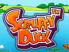 Scruffy Duck