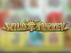 Wild Turkey
