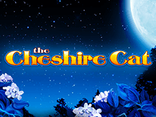 cheshire cat