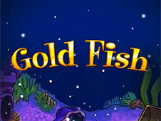 gold fish