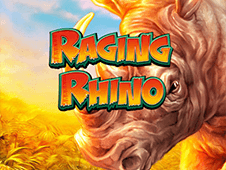 raging rhino