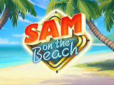 Sam on the Beach