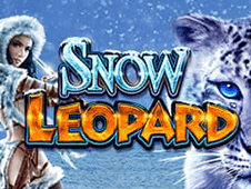 snow leopard
