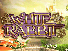 White Rabbit
