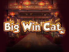 Big Win Cat