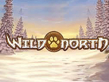 Wild North