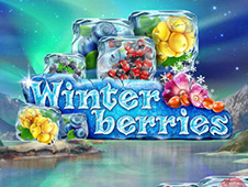 Winter Berries