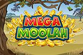 megaMoolah