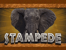 Stampede